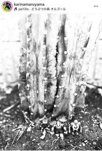 丸山桂里奈インスタグラム＠karinamaruyamaより