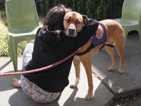 セラピー犬を抱きしめる少女　子ども保護する米施設の取り組み