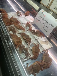 毛蟹たちよ…どこに逃げるのだ…。