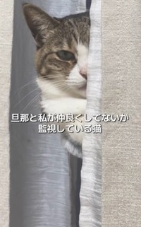 くるみちゃん、嫉妬か？（ましゅくるさん提供、Instagramよりキャプチャ撮影）