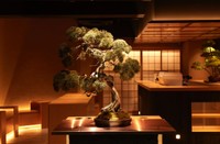 2017年、銀座2丁目にオープンしたBONGEN COFFEE銀座本店（株式会社座御堂提供）