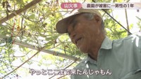 農園を経営／清水八勝さん　2025年7月