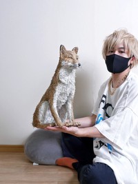 これ本当にダンボール！？