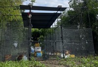 毛利さんたちが建設した鶏舎