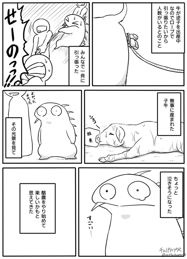【漫画】『酪農を1ヶ月で辞めた話』6（チュパカブRさん提供）