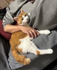 抱っこできる日々が嬉しい