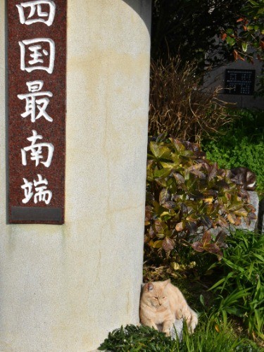 足摺岬の千太郎