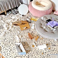 DVDを再生し忘れるとーー留守番中、家の中で大暴れしてしまうレティちゃん（画像提供：レティ ボーダーコリーさん）