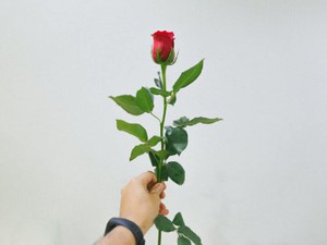 欲望をわきまえない、令和版乙女の「性論」