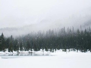 サークルで遅刻について話し合った。「切り捨てる」という私の言葉に泣き出した彼女