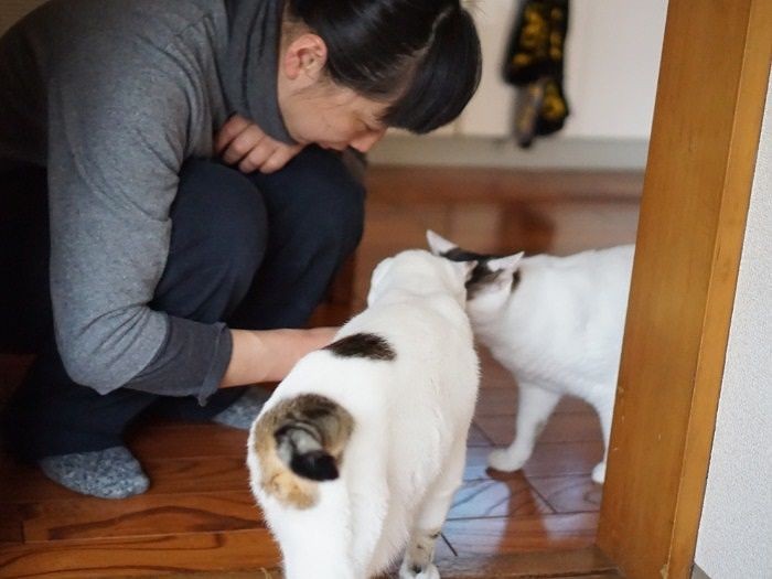 「わーい、おやつだ」「おいしいな」