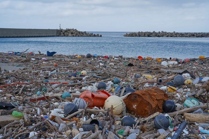 2022年に撮影した対馬の海岸