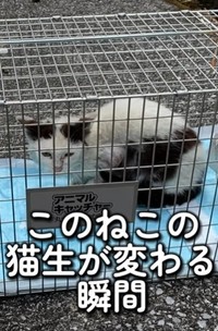 捕獲機で保護することができた（あきみさん提供、Instagramよりキャプチャ撮影）