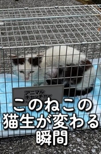 捕獲機で保護することができた（あきみさん提供、Instagramよりキャプチャ撮影）