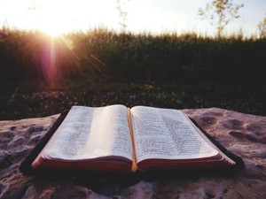 味わった苦しみや悲しみが、誰かを助ける「言葉」を編み出すために