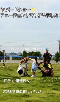 千葉県柏市の「道の駅しょうなん」で行われたバードショーの様子（「鷹の庵」さん提供、Instagramよりキャプチャ撮影）