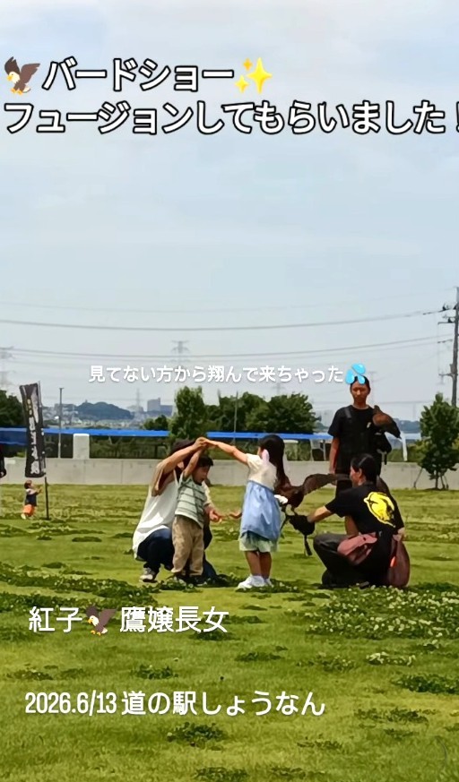 千葉県柏市の「道の駅しょうなん」で行われたバードショーの様子（「鷹の庵」さん提供、Instagramよりキャプチャ撮影）