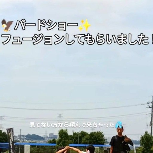 千葉県柏市の「道の駅しょうなん」で行われたバードショーの様子（「鷹の庵」さん提供、Instagramよりキャプチャ撮影）