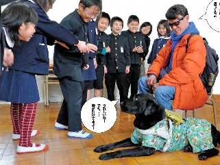 盲導犬との交通事故死でブザー条例　警報音「全国に広まって」