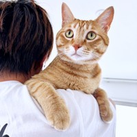 飼い主さん夫婦にとって、おぬくんは「我が子」（画像提供：おぬどんさん）