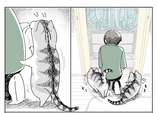 クローゼットの中が気になるキュルガちゃん（提供：キュルZさん）