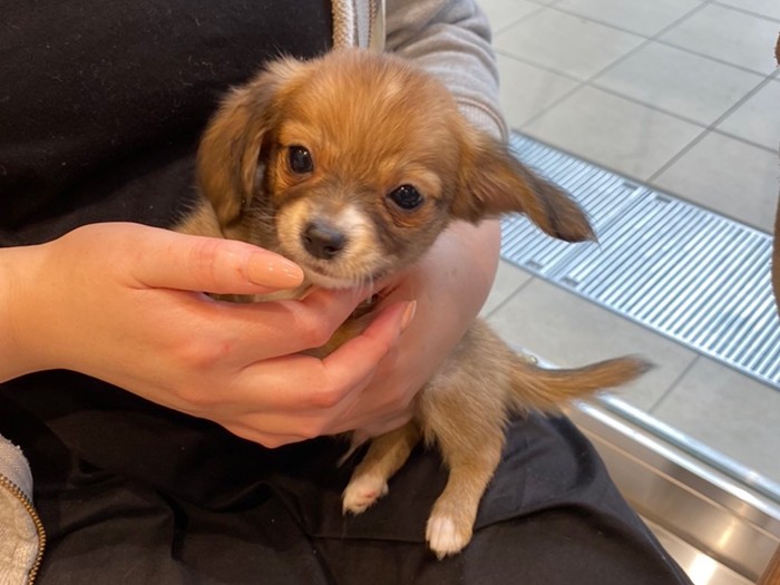 運命の出会い！？（お母さん提供）