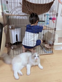 3年前、ルカくんの気持ちを理解しようとルカくんのケージの中でYouTubeを見ていた息子さん（画像提供：LUCA ラグドールさん）