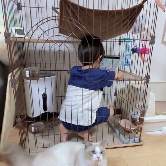 3年前、ルカくんの気持ちを理解しようとルカくんのケージの中でYouTubeを見ていた息子さん（画像提供：LUCA ラグドールさん）