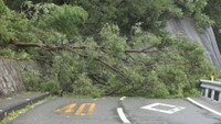 香川県の台風6号被害　農業1億4000万円　水産2500万円　林業600万円