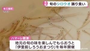 旬を迎えたシロウオを味わうイベント　家族連れでにぎわう　宮城・南三陸町