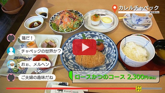 #30カレルチャペック