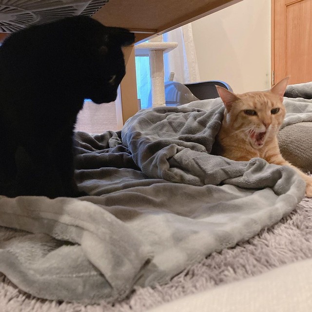 一緒にいられるようになった