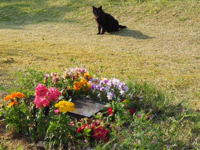 季節の花に囲まれた墓碑銘