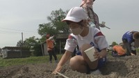 地元の農家や小学生などが約5000本分のヒマワリの種まき