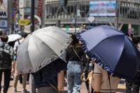 日傘を使う光景はいまや当たり前に　※画像はイメージです（paru/stock.adobe.com）