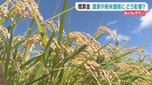 概算金　米の販売価格や農家の経営に大きく関係