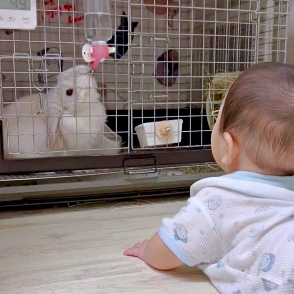 まふぃんくんが水を飲む様子を見つめる息子さん（画像提供：まふぃん君さん）