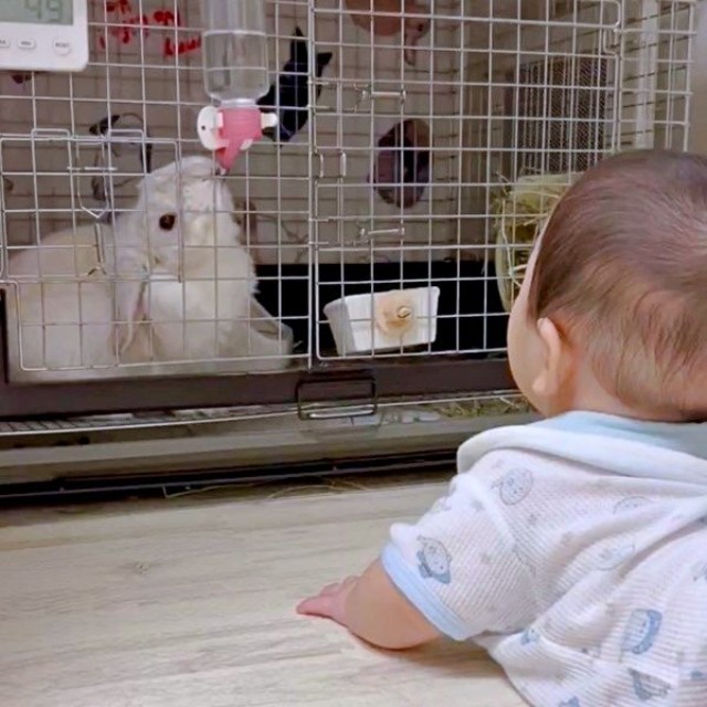 まふぃんくんが水を飲む様子を見つめる息子さん（画像提供：まふぃん君さん）