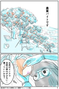 【漫画】『AIに仕事をとられて農業デビューした話』3（皆生桜子さん提供）