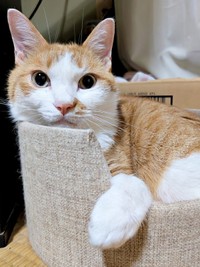 天真爛漫に成長したみやびちゃん（画像提供：ふみさん）