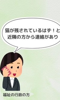 飼い主が倒れ、緊急入院・・・「猫が残されているはず！」とNPO法人のところに保護依頼があったという（「もふっこひだ」さん提供、Instagramよりキャプチャ撮影）