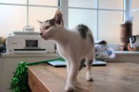 カズくん、表情がしっかりとしてきてカッコよくなったね