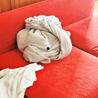 一見、何ということはない毛布ですが、よく見るとボーイくんのお鼻が（画像提供：SHOKOさん）