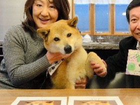 犬のジェームス　動物愛護ＰＲ、京都から発信中