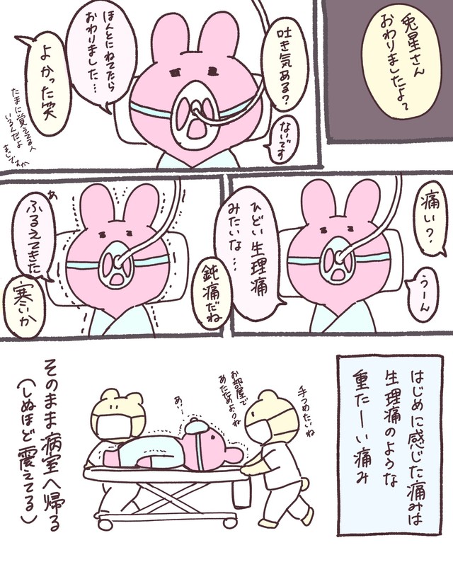 兎星さんの術後の様子（兎星しずかさんの提供）