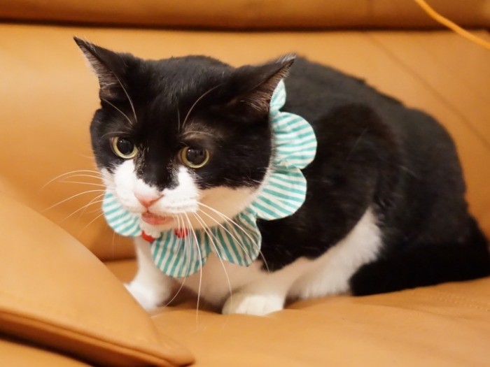 俺にはわからん…おかあさんはどこへいったんだ