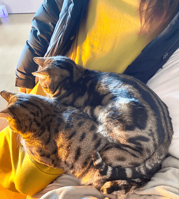 友人のお腹には赤ちゃんがーー寄り添う（左から）はらみさん、かるびさん