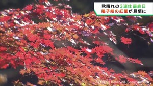 鳴子峡の紅葉　見頃迎える　全国から多くの観光客　宮城県大崎市