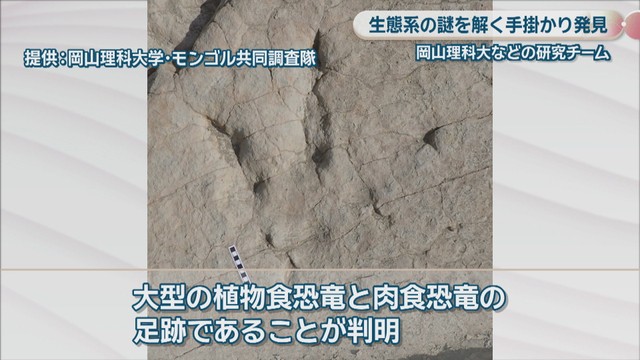 提供：岡山理科大学・モンゴル共同調査隊