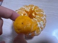 ちゃんと皮つきです（画像提供：りんご殿下さん）